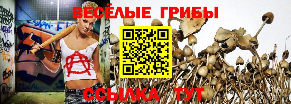 Междуреченск  Галлюциногенные грибы MAGIC MUSHROOMS  Вход с VPN 