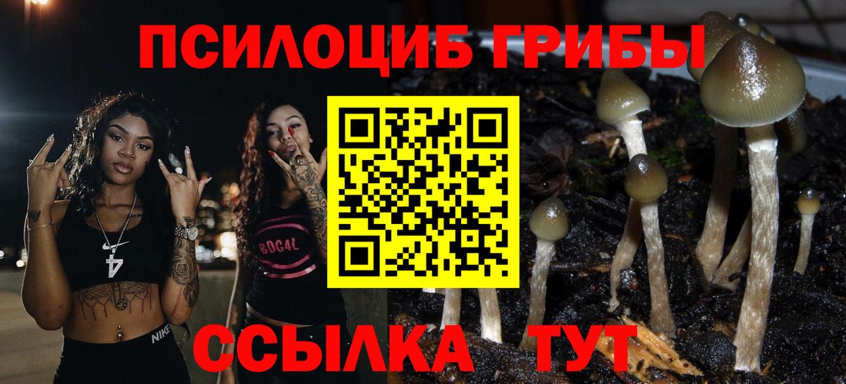 Псилоцибиновые грибы мухоморы Междуреченск