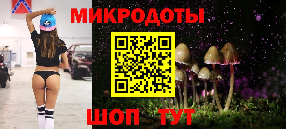 Галлюциногенные грибы Psilocybine cubensis Междуреченск